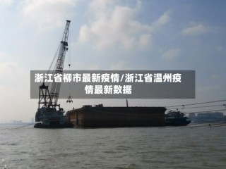 浙江省柳市最新疫情/浙江省温州疫情最新数据