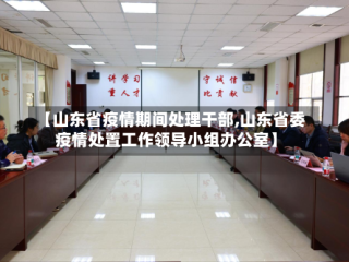 【山东省疫情期间处理干部,山东省委疫情处置工作领导小组办公室】