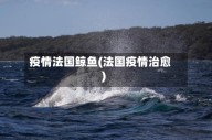 疫情法国鲸鱼(法国疫情治愈)