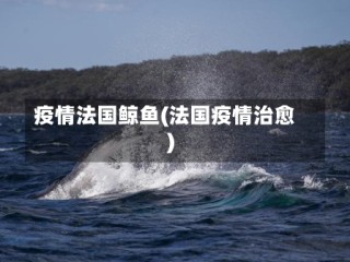疫情法国鲸鱼(法国疫情治愈)