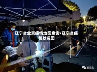 辽宁省全景疫情地图查询/辽宁省疫情状况图