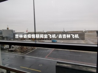 吉林省疫情期间坐飞机/去吉林飞机