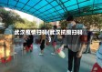 武汉疫情扫码(武汉抗疫扫码)