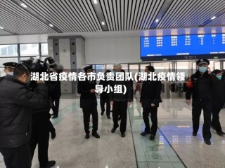 湖北省疫情各市负责团队(湖北疫情领导小组)