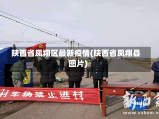陕西省凤翔区最新疫情(陕西省凤翔县图片)