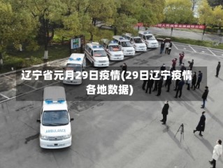 辽宁省元月29日疫情(29日辽宁疫情各地数据)