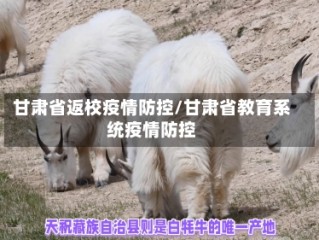 甘肃省返校疫情防控/甘肃省教育系统疫情防控