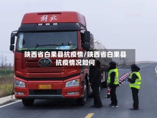 陕西省白果县抗疫情/陕西省白果县抗疫情况如何