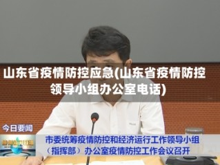 山东省疫情防控应急(山东省疫情防控领导小组办公室电话)
