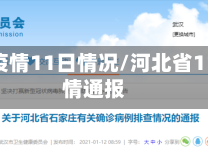 河北省疫情11日情况/河北省11日疫情通报