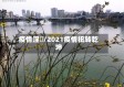 疫情涅槃/2021疫情扭转乾坤