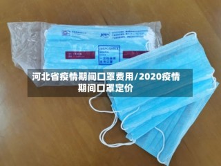 河北省疫情期间口罩费用/2020疫情期间口罩定价