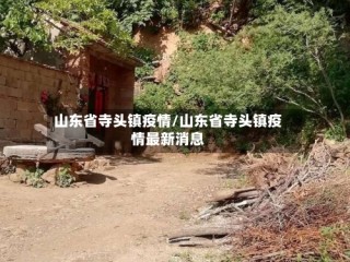 山东省寺头镇疫情/山东省寺头镇疫情最新消息