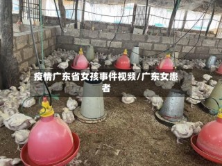 疫情广东省女孩事件视频/广东女患者