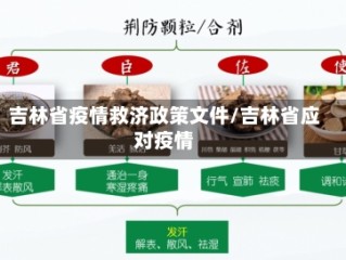 吉林省疫情救济政策文件/吉林省应对疫情