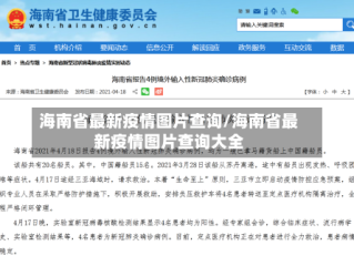 海南省最新疫情图片查询/海南省最新疫情图片查询大全