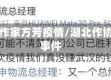 湖北省作家方芳疫情/湖北作协方方事件