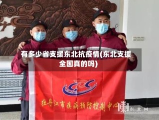 有多少省支援东北抗疫情(东北支援全国真的吗)