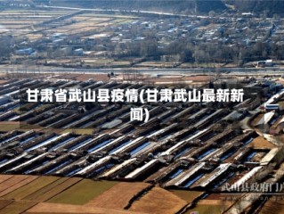 甘肃省武山县疫情(甘肃武山最新新闻)