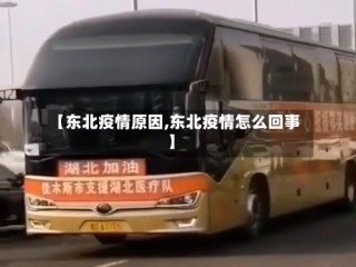 【东北疫情原因,东北疫情怎么回事】