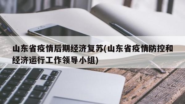 山东省疫情后期经济复苏(山东省疫情防控和经济运行工作领导小组)