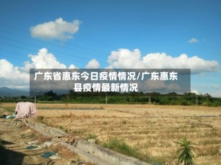 广东省惠东今日疫情情况/广东惠东县疫情最新情况