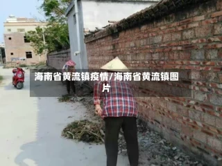 海南省黄流镇疫情/海南省黄流镇图片