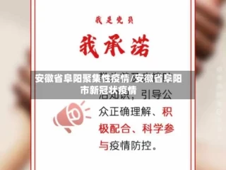 安徽省阜阳聚集性疫情/安徽省阜阳市新冠状疫情