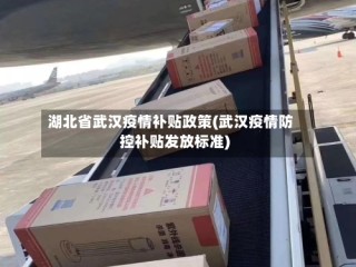 湖北省武汉疫情补贴政策(武汉疫情防控补贴发放标准)