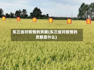 东三省对疫情的贡献(东三省对疫情的贡献是什么)