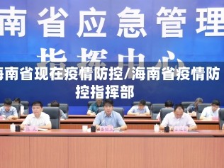 海南省现在疫情防控/海南省疫情防控指挥部
