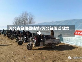 河北省饶阳县疫情/河北饶阳近期案件