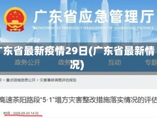 广东省最新疫情29日(广东省最新情况)