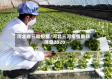河北省三和疫情/河北三河疫情最新消息2020