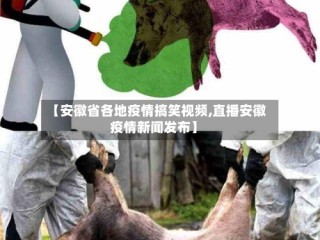 【安徽省各地疫情搞笑视频,直播安徽疫情新闻发布】