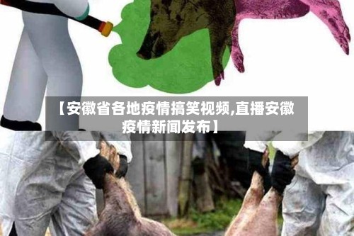 【安徽省各地疫情搞笑视频,直播安徽疫情新闻发布】