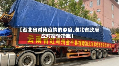【湖北省对待疫情的态度,湖北省政府应对疫情措施】