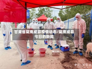 甘肃省陇南成县疫情动态/陇南成县今日的新闻