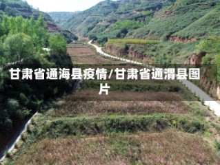 甘肃省通海县疫情/甘肃省通渭县图片