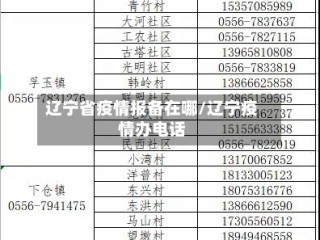 辽宁省疫情报备在哪/辽宁疫情办电话