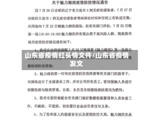 山东省疫情红头情文件/山东省疫情发文