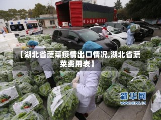 【湖北省蔬菜疫情出口情况,湖北省蔬菜费用表】