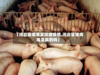 【河北省哪里发现猪疫情,河北省猪病毒是真的吗】