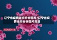 辽宁省疫情走向分析图片/辽宁省疫情走向分析图片高清