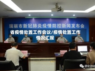 省疫情处置工作会议/疫情处置工作情况汇报