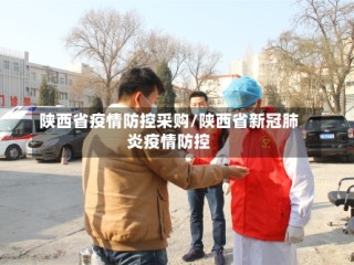 陕西省疫情防控采购/陕西省新冠肺炎疫情防控
