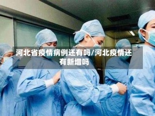 河北省疫情病例还有吗/河北疫情还有新增吗