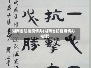 湖南省防控疫情办(湖南省防控疫情办电话)