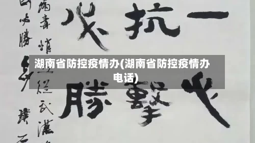 湖南省防控疫情办(湖南省防控疫情办电话)
