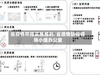 省疫情防控实施细则/省疫情防控领导小组办公室
